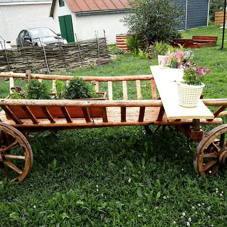 гостиница Белые розы Несвиж Экстерьер фото